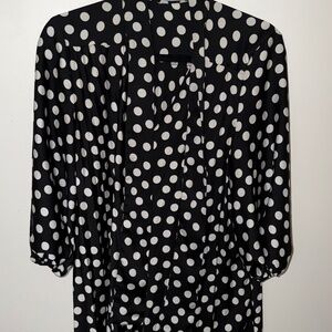 Zara Polka dot dress